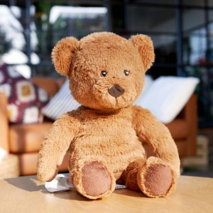 Soft brown teddy bear sitting on a table in bright indoor setting.